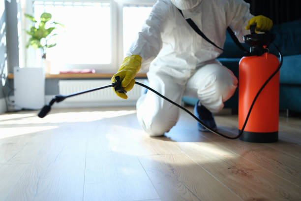 Best Pest Prevention Services  in Richwood, WV