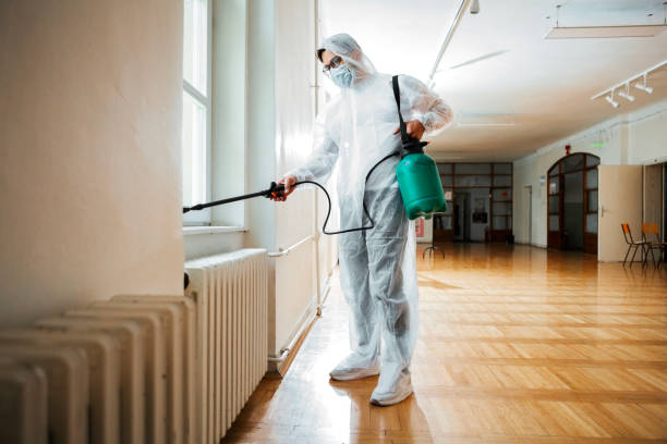 Best Pest Control Near Me  in Richwood, WV