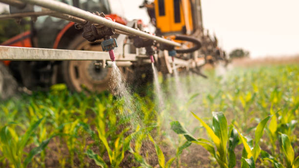 Pest Control Cost in Richwood, WV