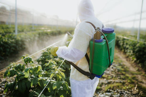 Best Ant Control Services  in Richwood, WV